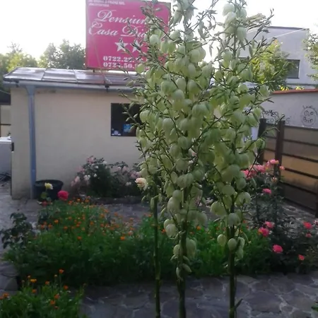 Casa Didina