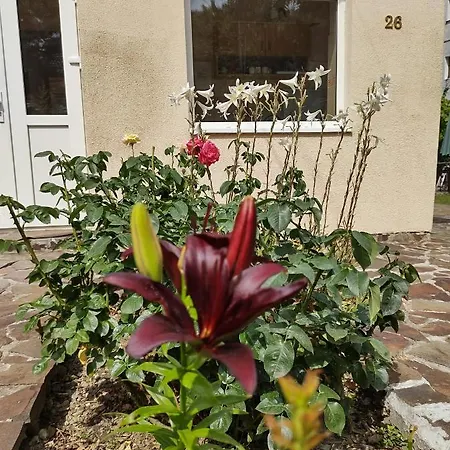 Casa Didina ホテル Bacău